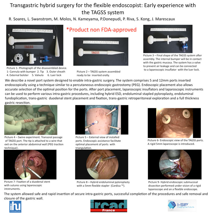 SAGES 2016 Poster TAGSS2